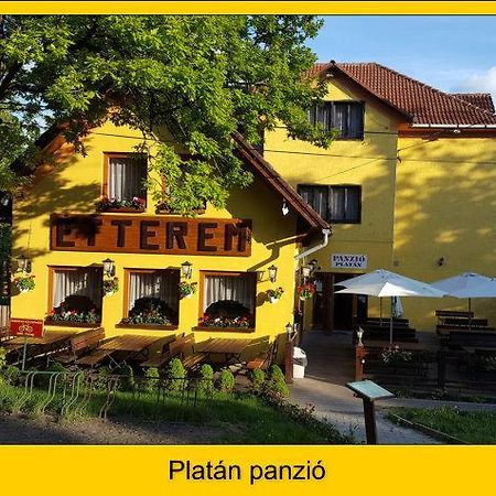 Platan Panzio Hotel Dobogoko Exterior photo