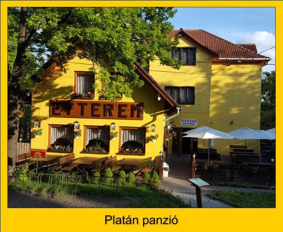 Platan Panzio Hotel Dobogoko Exterior photo